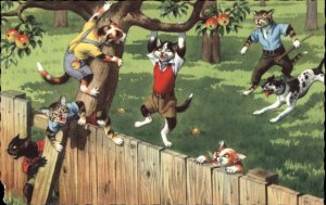 Fantasy Dressed Animals Cats Apple Tree Fence Mainzer Vintage Postcard