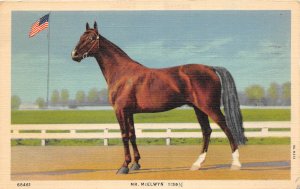 G8/ Somerset Lexington Kentucky Postcard Linen Mr. McElwyn Race Horse