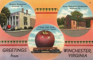 Vintage Postcard 1930's Greetings From Winchester Virginia Shenandoah News Pub.