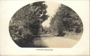 Princeton Massachusetts MA Station Road c1910 Real Photo Vintage Postcard