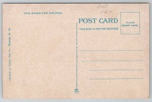 Wheeling WV Amusement Zone Rides Swing W Va State Fair Park Postcard E45