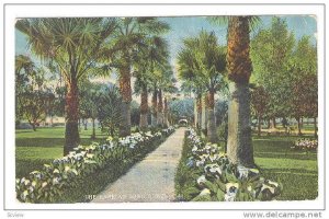 The park at Long Beach,California,PU-00-10s