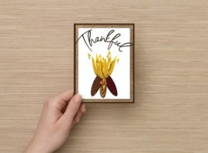 Set of 6 Fine Art Postcard Thankful, Indian Corn, Celebrating Autumn Greetings