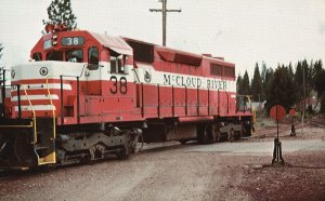 Vintage Postcard McCloud River Railroad Company's Number 38 McCloud California