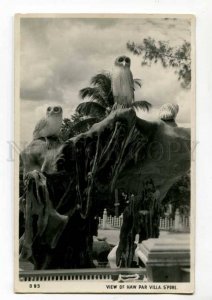 289259 SINGAPORE view of Haw Par Villa amusement park OWL Vintage photo postcard