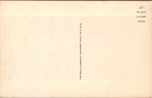 Silence Please Genius At Work Humor Funny Paula Company Unused Postcard D40