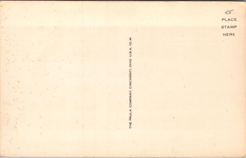 Silence Please Genius At Work Humor Funny Paula Company Unused Postcard D40