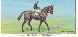 Tranquil 1923 St Leger Horse Racing Cigarette Card