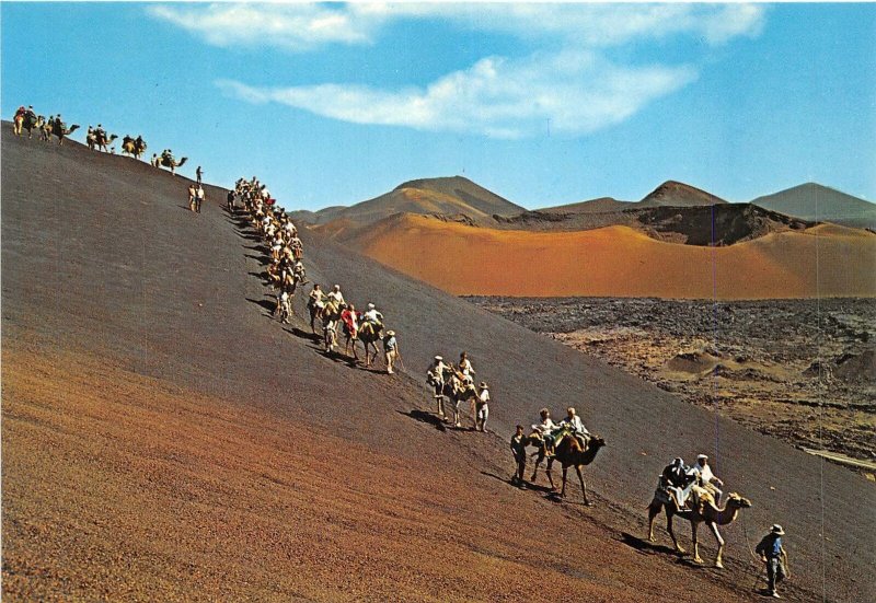 Lot 42 lanzarote camels caravan types folklore spain