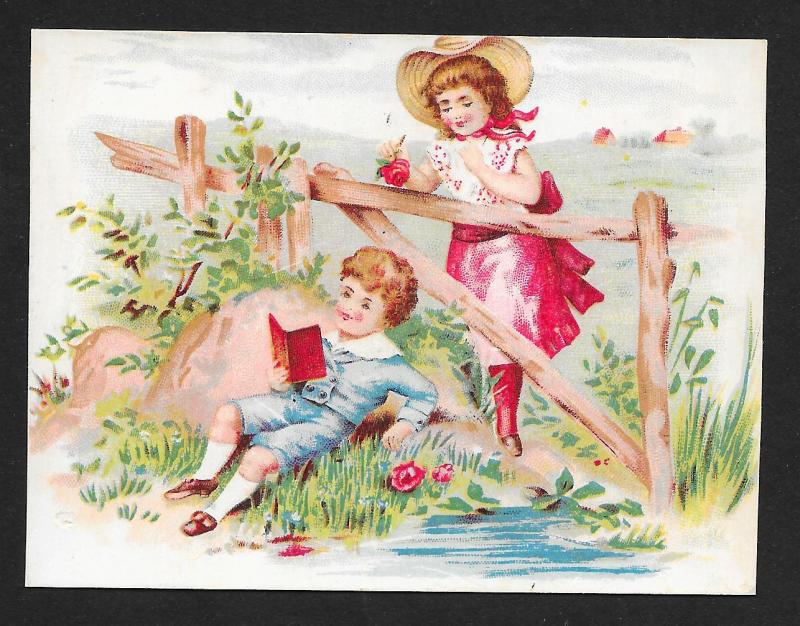 VICTORIAN TRADE CARD Wicke Harness & Trunks Girl & Boy at Fence