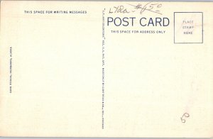 Midnight Sun on the Yukon River Alaska Postcard