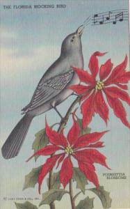 Poinsettia Blossoms and Mocking Bird State Bird Of Florida Curteich