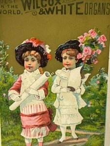 c.1880s Wilcox White Organ Piano Pink Rose Children Ornate Dress Hats