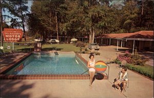 Tallahassee Florida FL Motel 1950s-60s Postcard