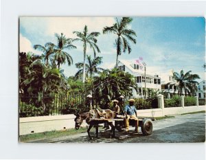 Postcard - Belizean Buildings And Scenery In Gabourel Lane - Belize City, Belize