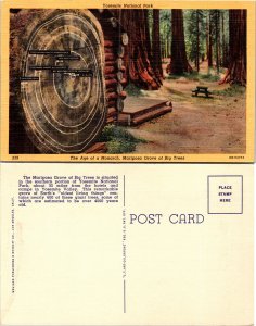 Yosmite National Park (32066