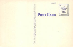 WM. A. Ely Stadium Elyria, Ohio OH Postcard