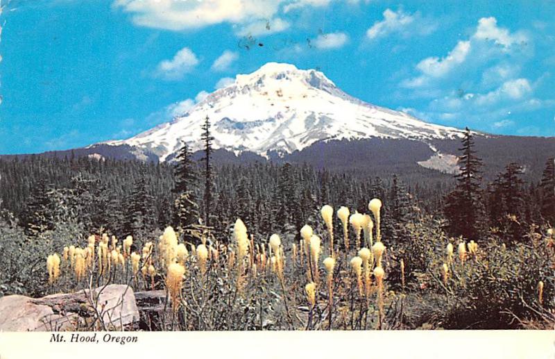 Mt Hood - Oregon