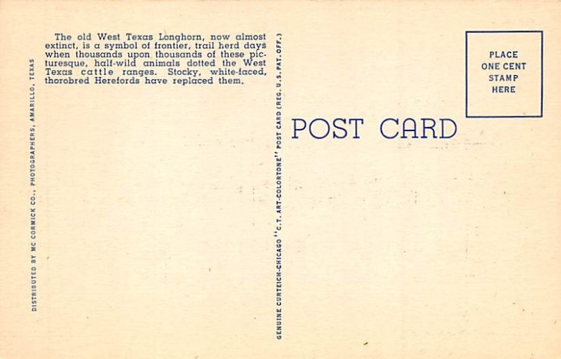 Want To Throw The Bull Postcard