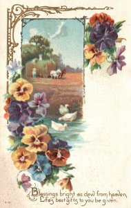 Vintage Postcard 1910s Blessings Bright as Dew Best Gifts Greetings Card Flowers