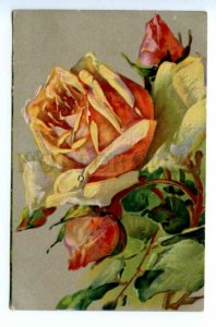 494231 Catherine KLEIN Yellow ROSE Flowers RUSSIA Vintage postcard