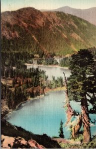 Hand Colored The Mount Baker–Snoqualmie National Forest Chain Lakes Washington