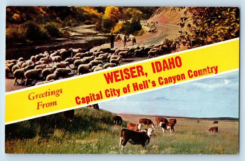 Weiser Idaho ID Postcard Capital City Hell's Canyon Country Banner c1960 Vintage