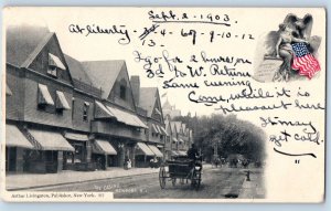 Newport Rhode Island Postcard The Casino Horse Carriage Buildings 1903 Vintage