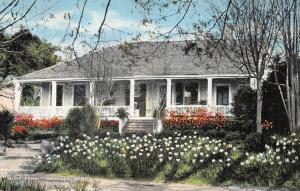 NATCHEZ, MS Mississippi   HOPE FARM~Historic Home   c1940's Linen Postcard