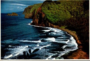 Hawaii Big Island Pololu Valley Aerial View