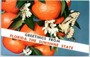 M-9771 Greetings from Florida the Sunshine State