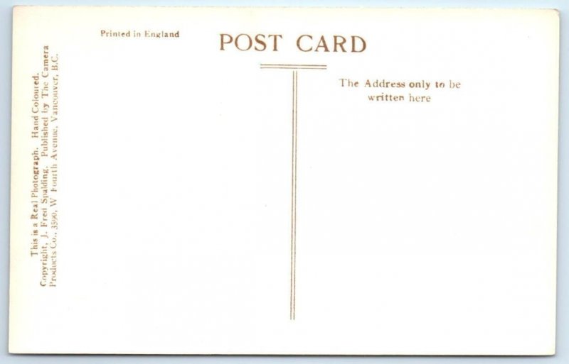 RPPC EDMONTON, Alberta Canada ~ MACDONALD HOTEL c1930s Tinted Postcard