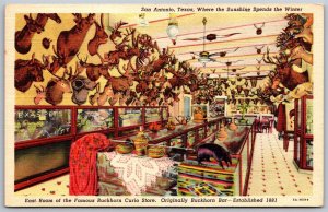 Vtg San Antonio Texas TX East Room Interior Buckhorn Curio Store 1930s Postcard