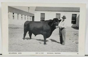 RPPC BOZEMAN Montana OBIE & SONS Mountrose Herd Champion BULL Postcard D2