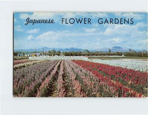 Postcard Japanese Flower Gardens Phoenix Arizona USA