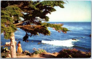 VINTAGE POSTCARD AMEICAN AIRLINES CARD DEPISTING CARMEL CALIFORNIA COAST