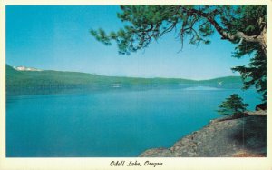 USA Odell Lake Oregon Vintage Postcard 07.46