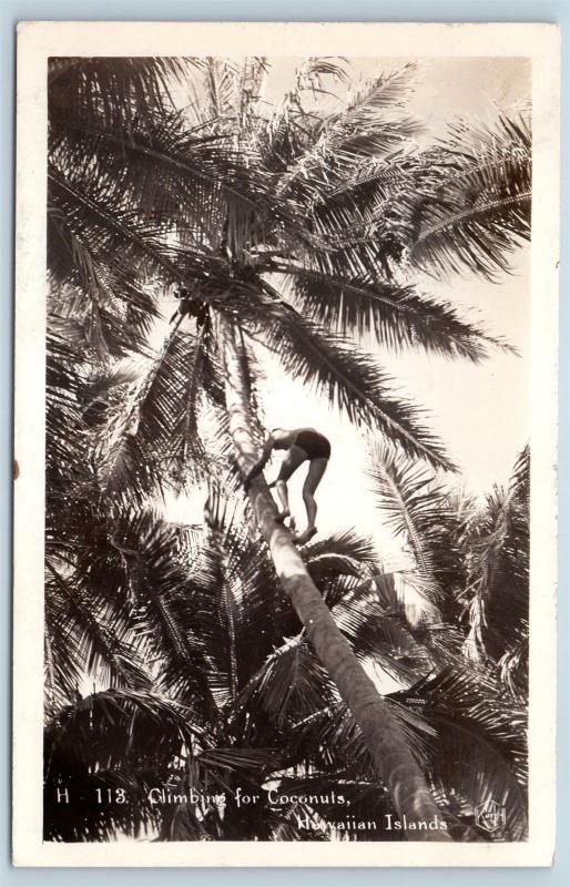 Postcard HI Hawaiian Islands Climbing For Coconuts RPPC Real Photo N14