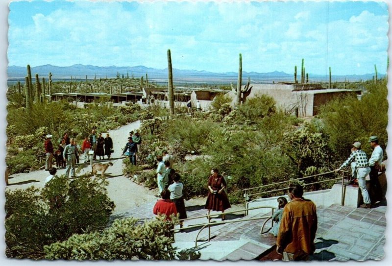 Postcard - A View From The Ramada Of The Arizona Sonora Desert Museum - Arizona