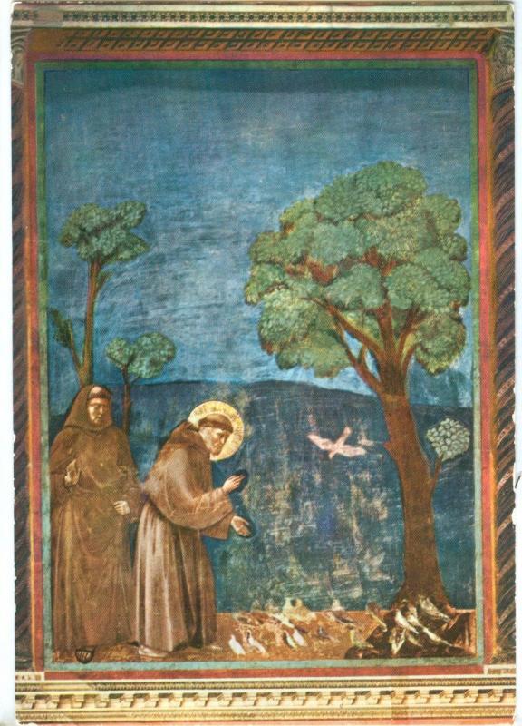 ASSISI, Basilica di S. Francesco, St Francis preaching to the birds, used