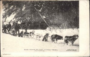 Yukon Trail Alaska AK Dog Team Dog Sledding Sled Dogs Vintage Postcard