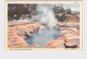 VINTAGE POSTCARD NATIONAL STATE PARK YELLOWSTONE OBLONG GEYSER CRATER #6