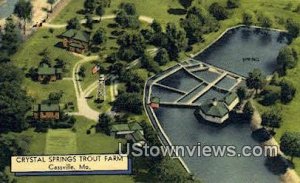 Crystal Springs Trout Farm - Cassville, Missouri MO Postcard