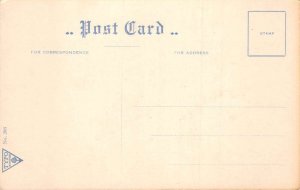 Greetings Unlucky Turkey Wonder what next Humor Vintage Postcard AA70370