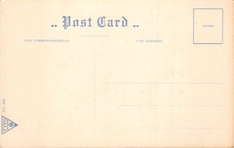 Greetings Unlucky Turkey Wonder what next Humor Vintage Postcard AA70370