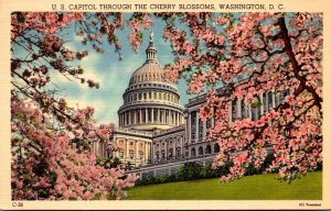 Washington D C United States Capitol Through The Cherry Blossoms