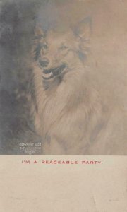 RPPC DOG I'M A PEACEABLE PARTY CHICAGO ILLINOIS REAL PHOTO POSTCARD (c. 1905)