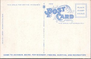 Postcard Looking West from Attean Camps Jackman Maine ME