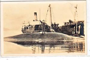 RPPC - Whaling, Dead Whale