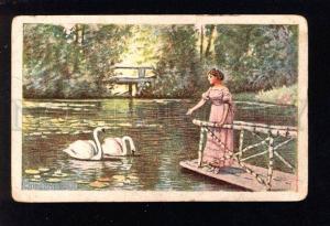 032670 LEDA w/ Favorite SWANS. Vintage PC